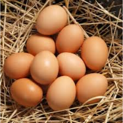 Farm fresh eggs