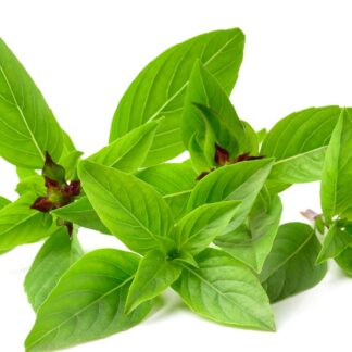 Thai Basil 0.5