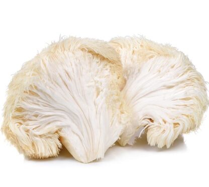 Lions Mane (1/2 pound)