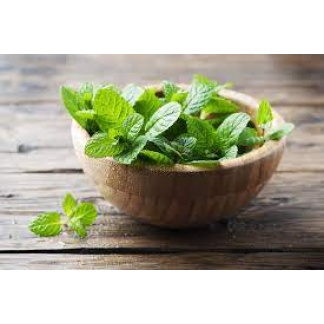 Mint bunch