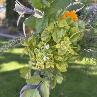 Herb bouquet